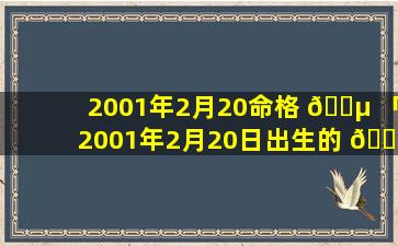 2001年2月20命格 🐵 「2001年2月20日出生的 🍁 命运怎么样」